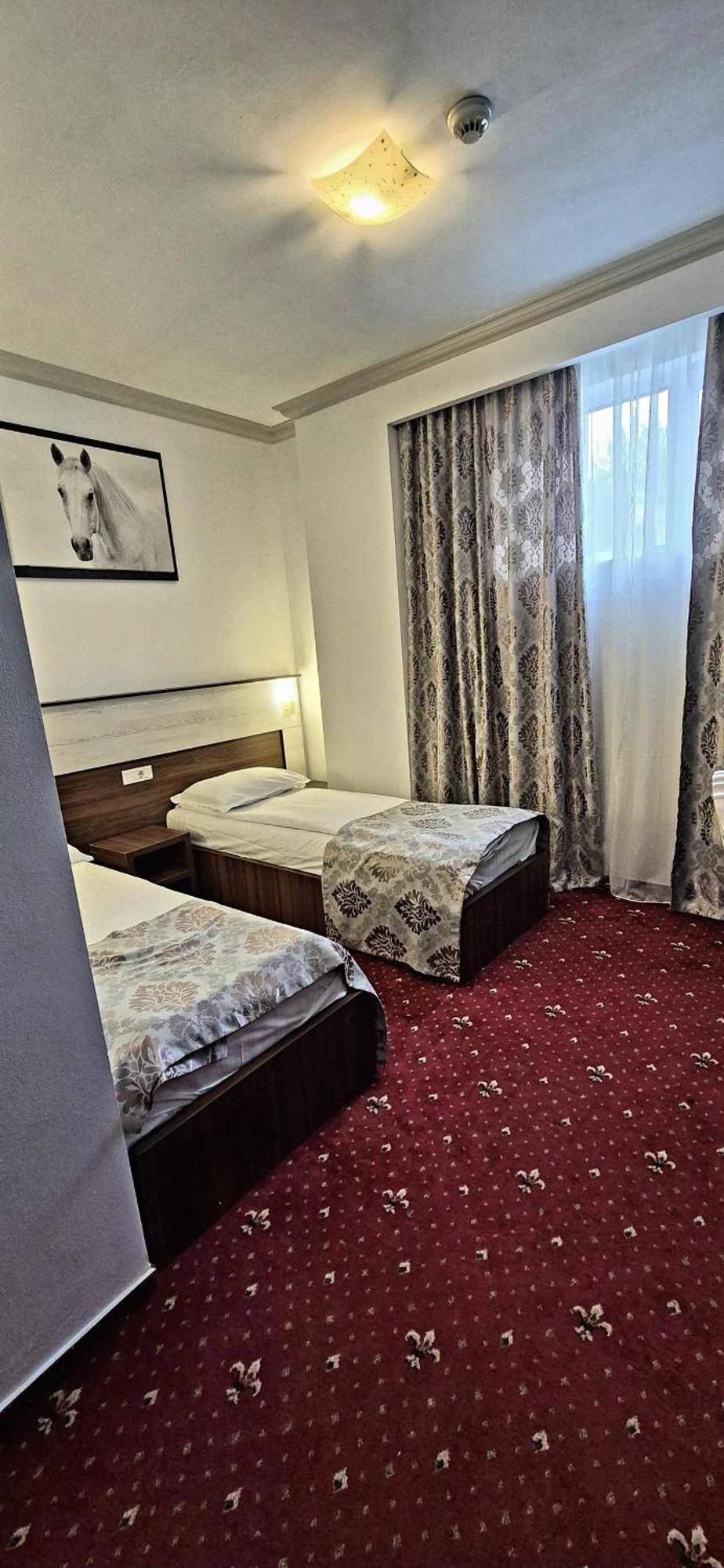Hostel Orhideea بوزاو المظهر الخارجي الصورة